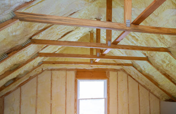 Best Eco-Friendly Insulation in De Pere, WI