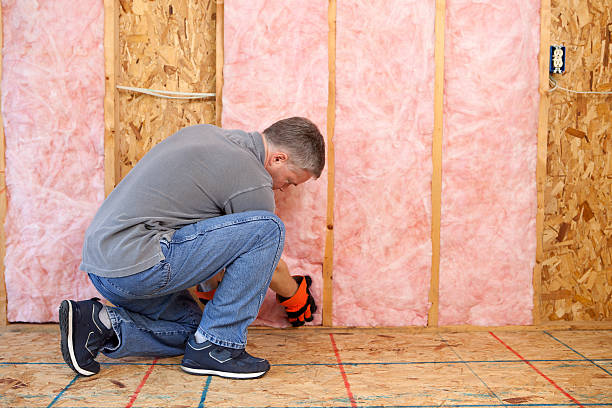 Best Geographic-Specific Insulation Services in De Pere, WI